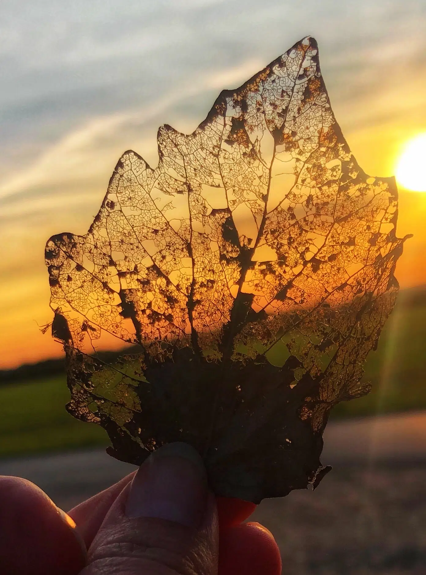 c5f221f9-20d7-4a4d-9e21-a40c687b4dc1-min